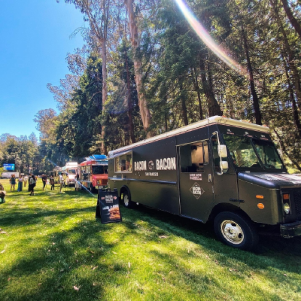 a truck is parked in the grass