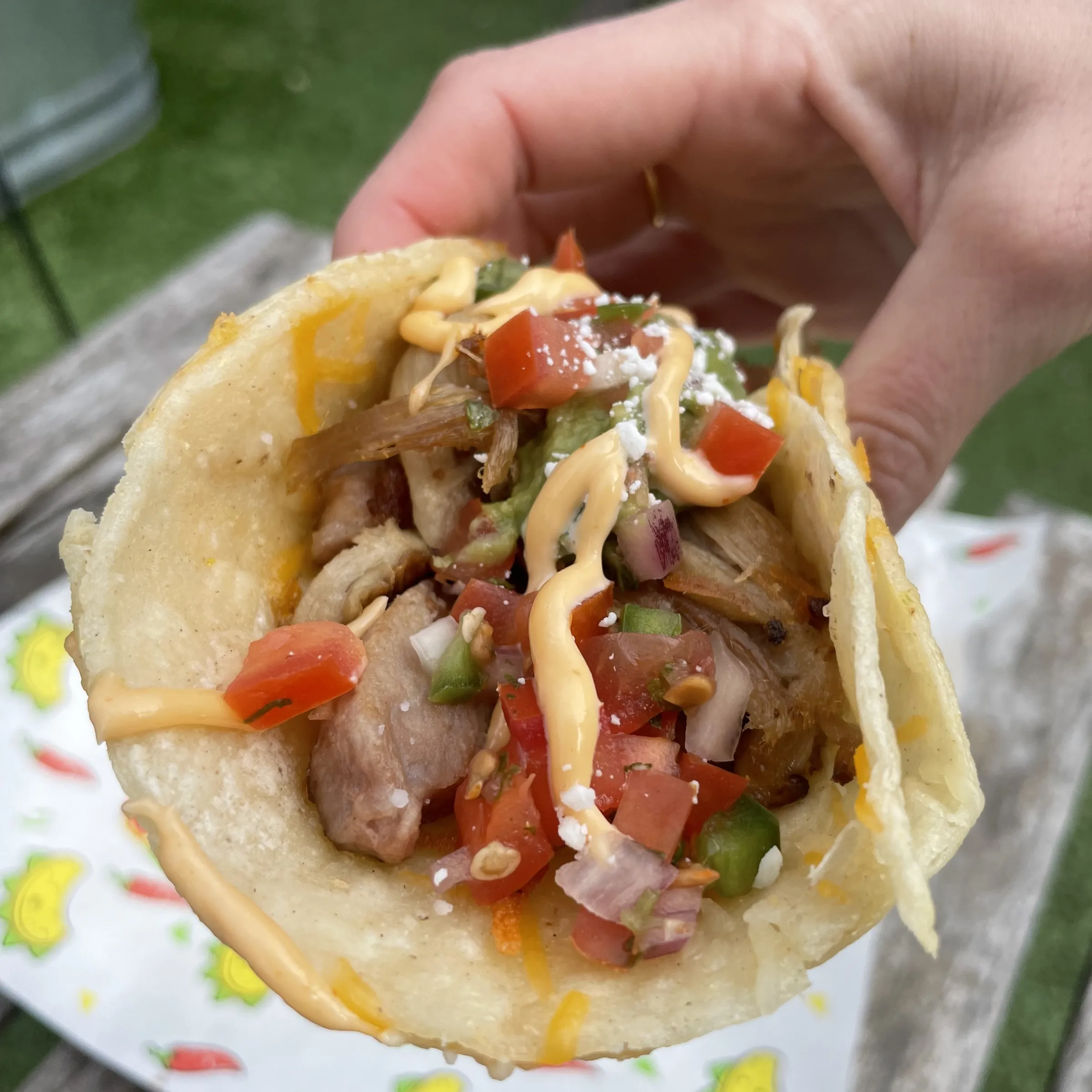 a close up of a person holding a TACO